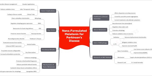 Nano-Formulated Melatonin for Parkinson’s Disease