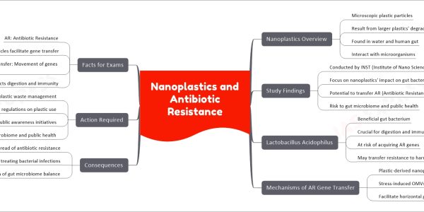 Nanoplastics and Antibiotic Resistance
