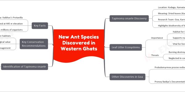 New Ant Species Discovered in Western Ghats