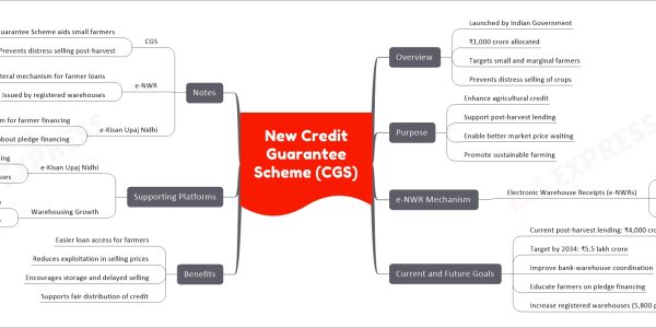 New Credit Guarantee Scheme (CGS)