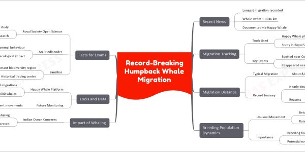 Record-Breaking Humpback Whale Migration