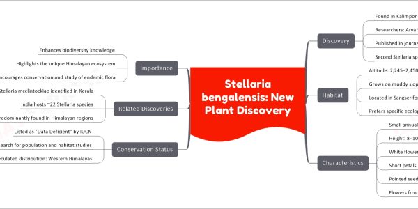 Stellaria bengalensis: New Plant Discovery