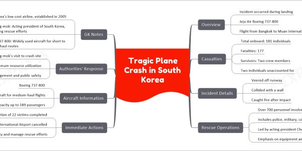 Tragic Plane Crash in South Korea