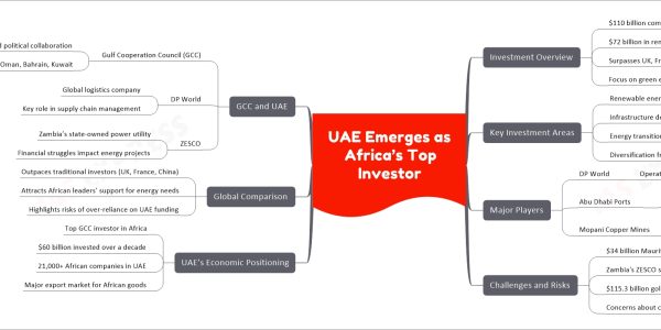 UAE Emerges as Africa’s Top Investor