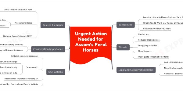 Urgent Action Needed for Assam’s Feral Horses