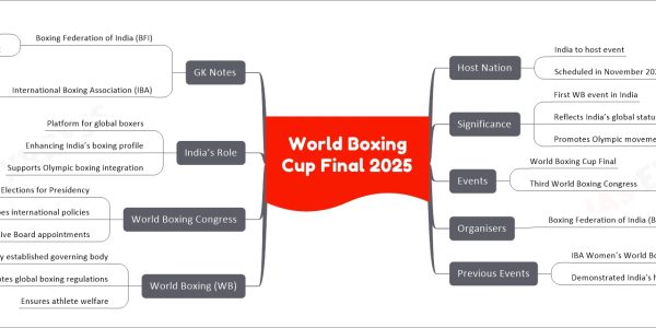 World Boxing Cup Final 2025