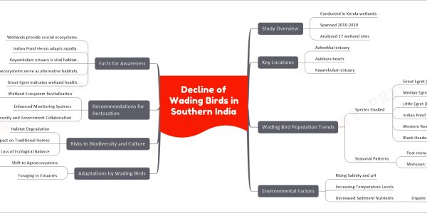 Decline of Wading Birds in Southern India
