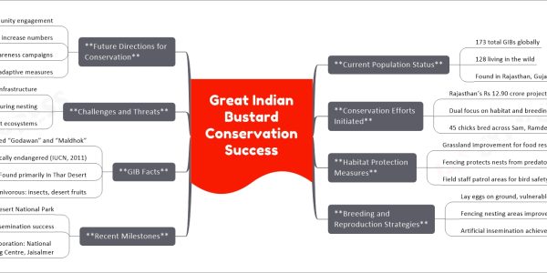 Great Indian Bustard Conservation Success