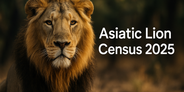 2025 Asiatic Lion Census: Key Findings, Range Expansion, and Conservation Challenges upsc